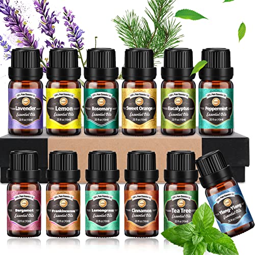 Ätherische Öle Set 12 x 10 ml, Duftöl Öle für Diffuser reiner Lavendel Eukalyptus Zitrone Zitronengras Süßorange Teebaum Pfefferminze Bergamotte Weihrauch Rosmarin Zimt und Ylang-Ylang